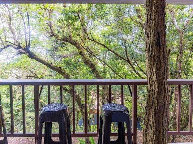 Cantos Del Bosque Monteverde Екстер'єр фото