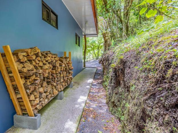 Cantos Del Bosque Monteverde Екстер'єр фото